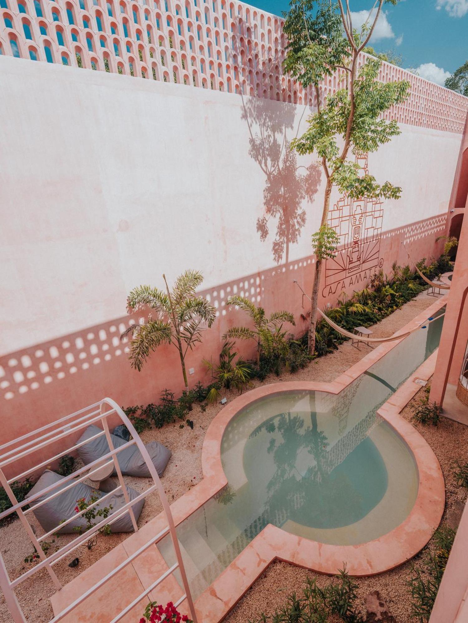 Casa Amate 61 Boutique Hostel Mérida Exteriör bild