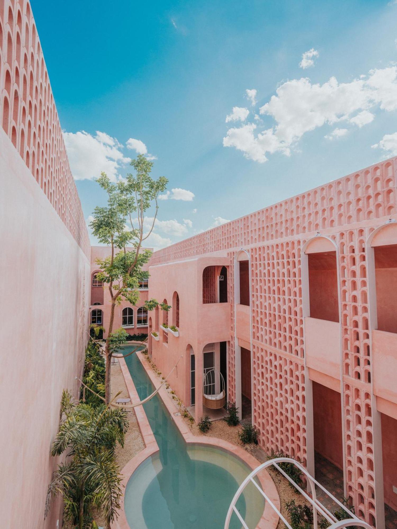 Casa Amate 61 Boutique Hostel Mérida Exteriör bild