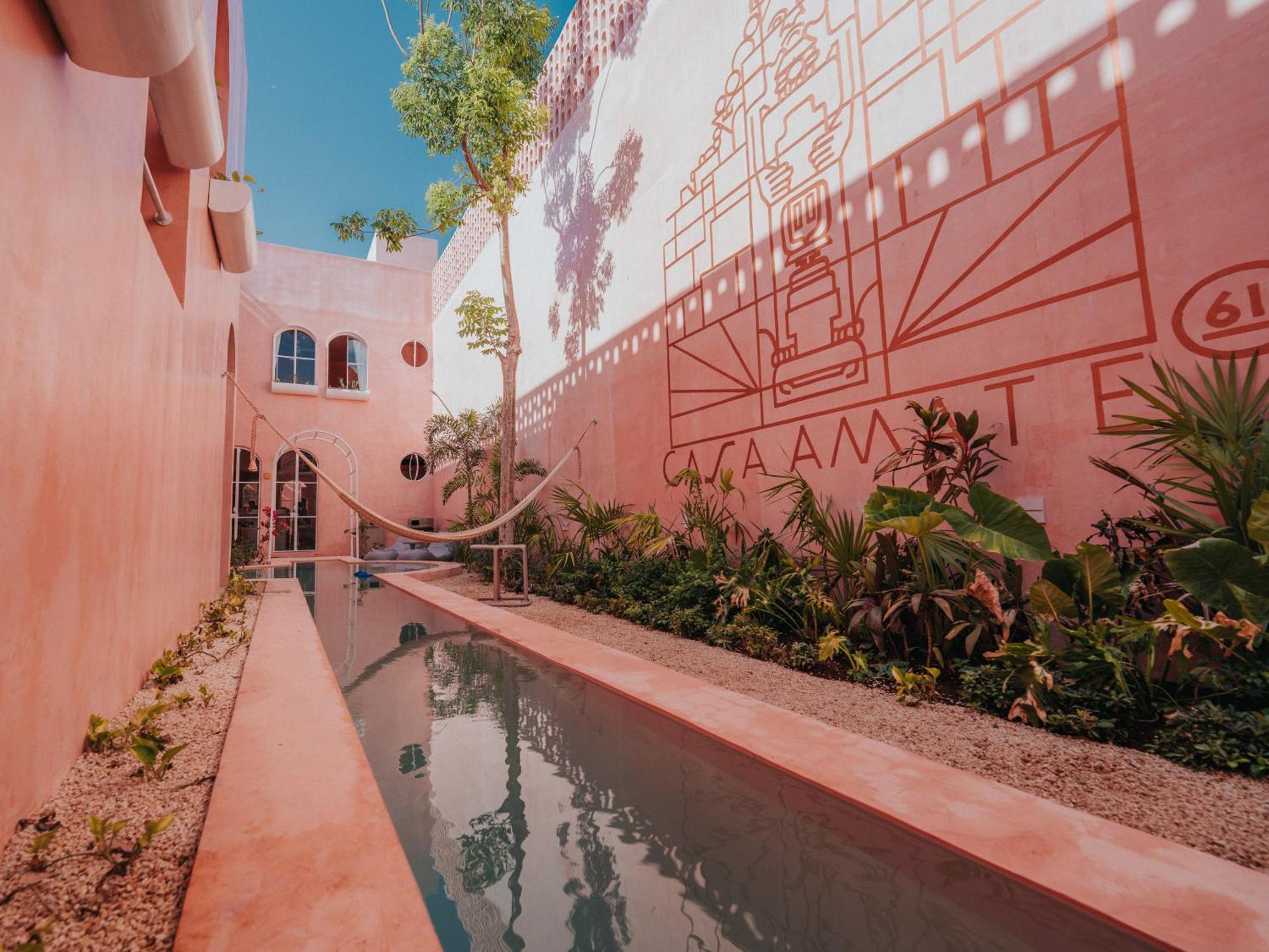 Casa Amate 61 Boutique Hostel Mérida Exteriör bild